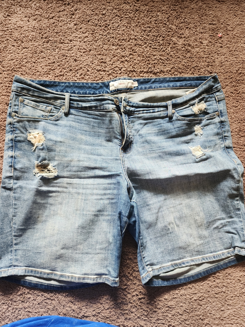 torrid Light Wash Distressed Denim Shorts